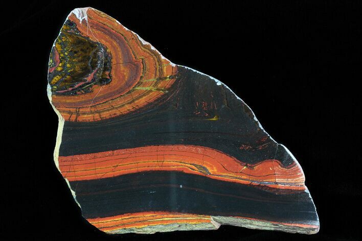 Polished Tiger Iron Stromatolite - ( Billion Years) #75816